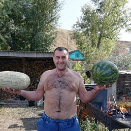 ���� ������, ������, 46 ��� - ��������� 18 ����� 2021