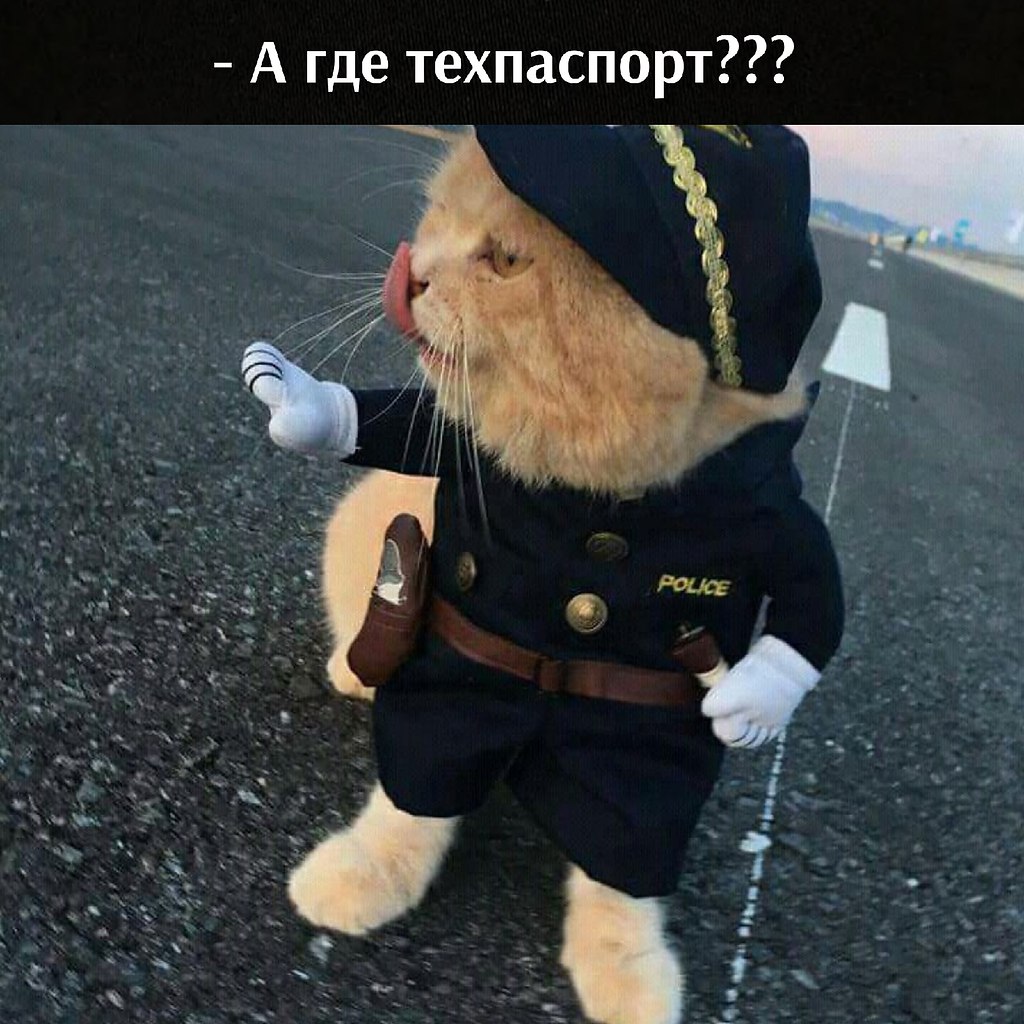       - 14  2021  16:10 - 3