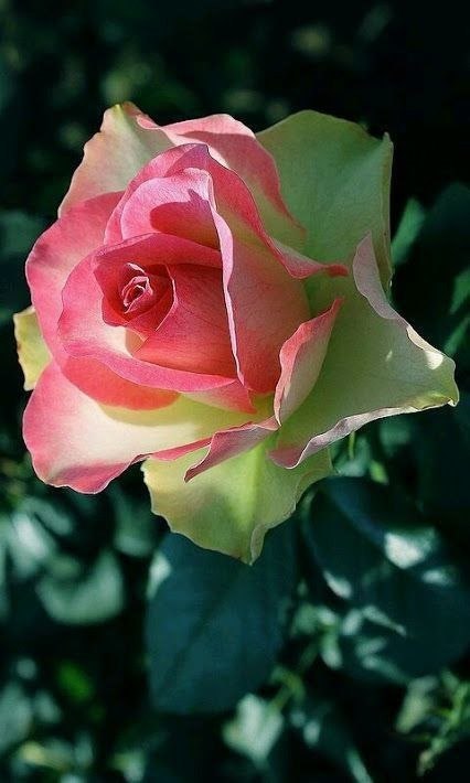  - 5  2020  22:14 - 2