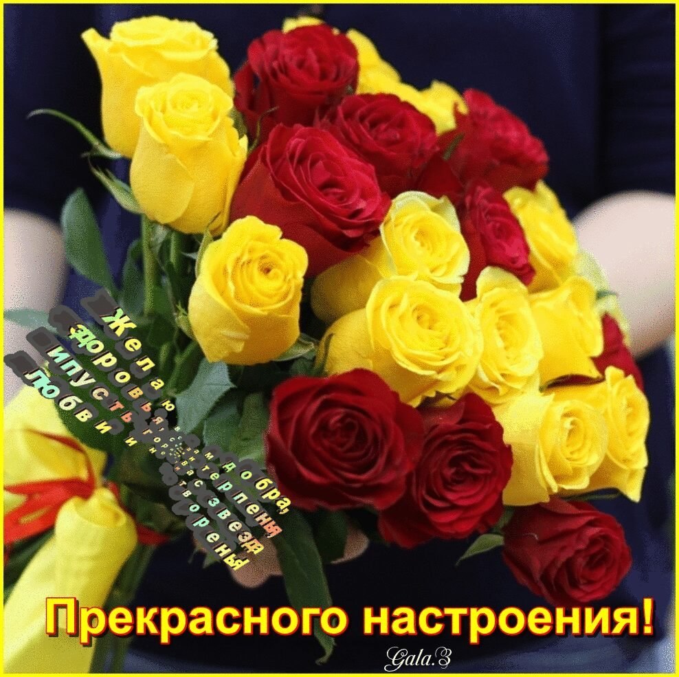   ,    . - 17  2020  23:40 - 5