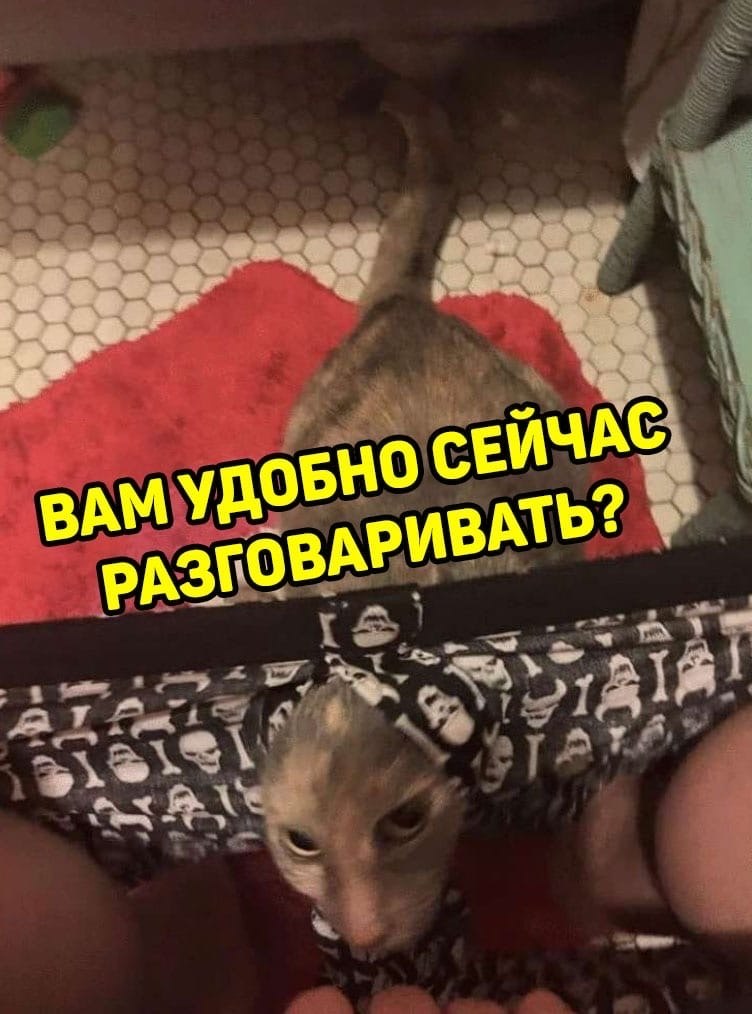      ... - 3