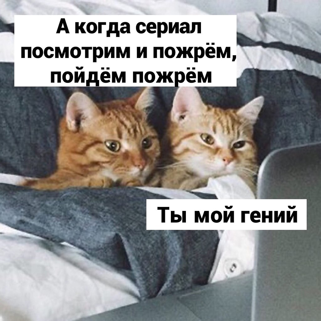   ,     .#@bon - 3