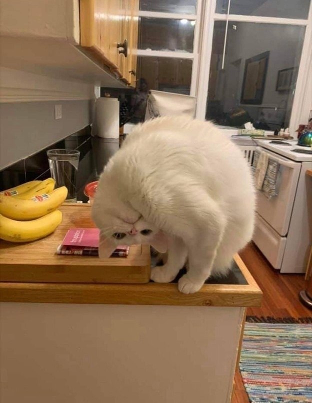     - 7