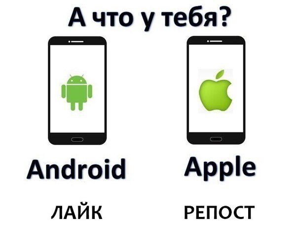 ? ,  ! - 24  2021  15:52