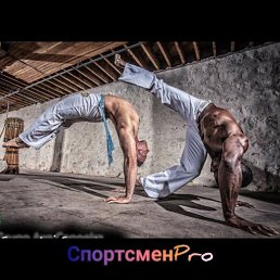 ���������, ��������, 23 ����