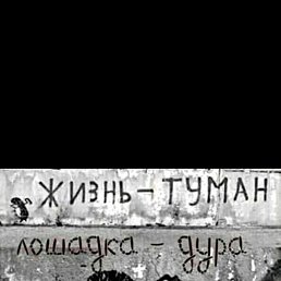  Vaso, , 45  -  11  2021