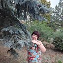 ���� �������, ���������, 54 ���� - ��������� 20 ������ 2020 � ������ ���������� ������