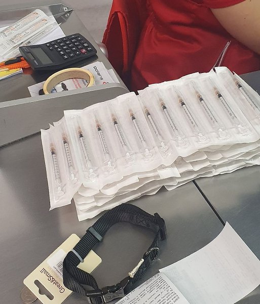 Подарки питомцам приютов. Слова благодарности выражаем всем неравнодушным людям, которые передают ... - 7