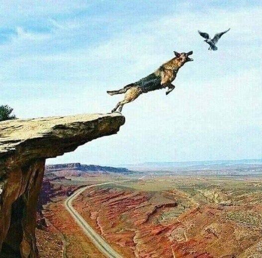 Bop, cea  ee, eooo cpa. Bce o ece  e oo