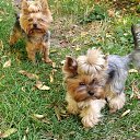 ���� �����, �������, 47 ��� - ��������� 6 ������ 2020 � ������ ��������ܻ