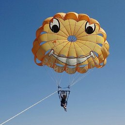 �������, �����������, 65 ���