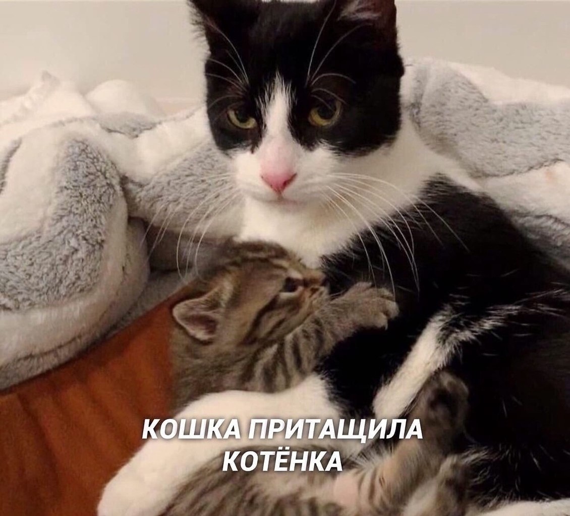  ! - 24  2020  18:32 - 2