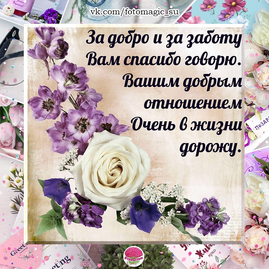   ,    . - 3  2021  21:28