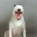 ���� ������, ������������ - ��������� 24 �������� 2020 � ������ ���� � ���