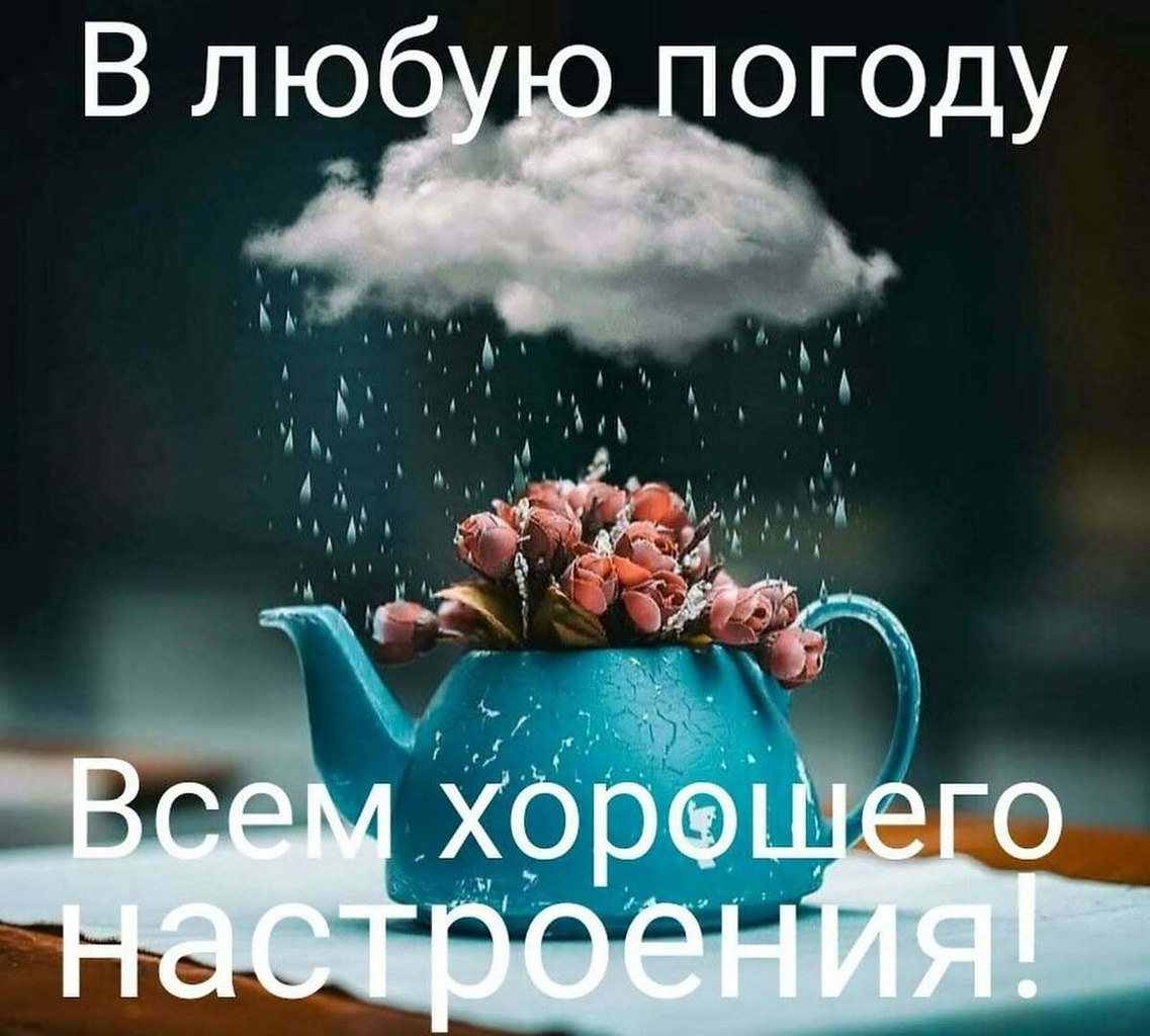   ,    . - 12  2020  12:13 - 5
