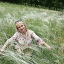 ���� �������, ������ - ��������� 4 �������� 2020 � ������ ���� ����������