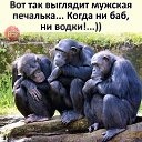 ���� �������, ������, 41 ��� - ��������� 13 ������� 2020 � ������ ������ ��������
