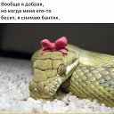 ���� �����, ������, 63 ���� - ��������� 21 ������ 2020 � ������ ���� ����������