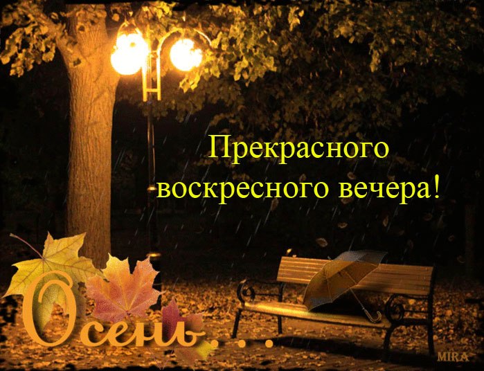   ,    . - 11  2020  16:54 - 6