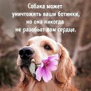 ���� ���������, �������� - ��������� 17 ������� 2021 � ������ ���� ����������