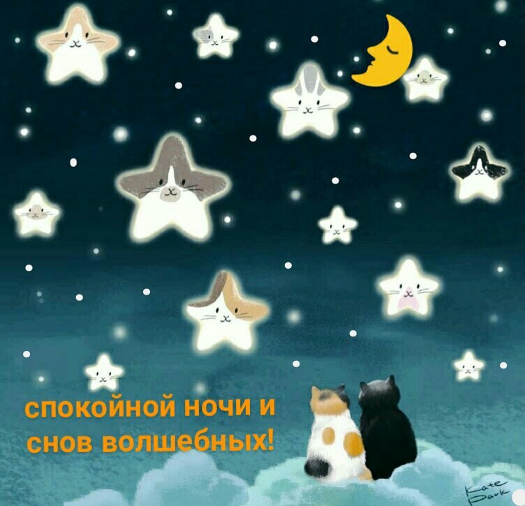   ,    . - 1  2020  22:14 - 8