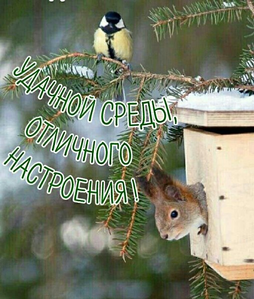   ,    . - 6  2021  14:18