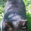 ���� ����, ���������� - ��������� 23 ������� 2020 � ������ ���� ����������