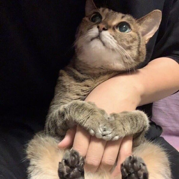     .  - . - 4