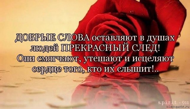   ,    . - 9  2020  21:40