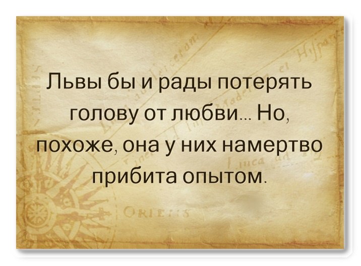 **Lady Lioness** - 7  2021  18:27