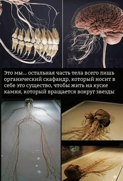 BEST | , ,  - 11  2020  19:07