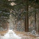 ���� �������, ��������� - ��������� 24 ������� 2020 � ������ ������ ��������