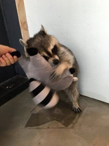     - 4