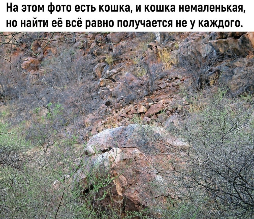 ?