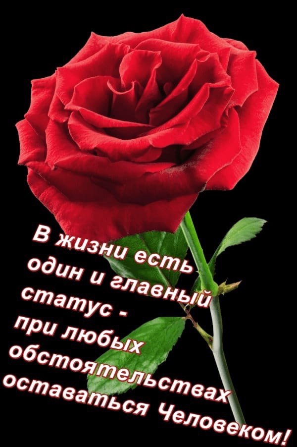   ,    . - 12  2021  12:30