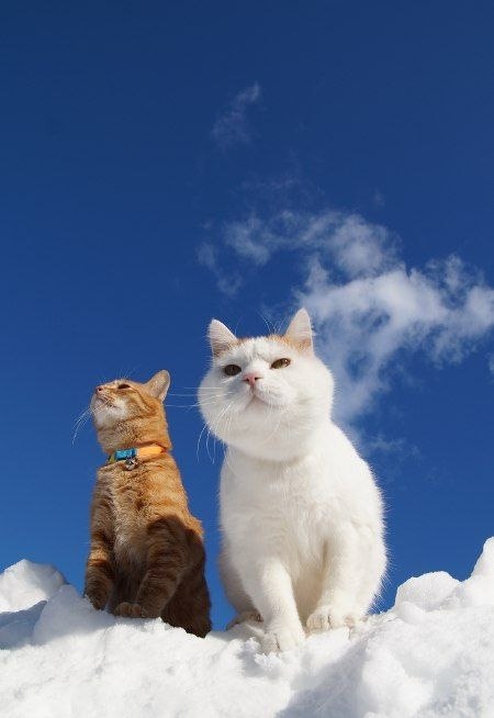  Love story - 3