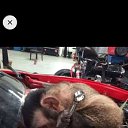 ���� ������, ��������, 55 ��� - ��������� 16 ������ 2020