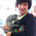 ���� �������, ������, 45 ��� - ��������� 6 ������� 2020