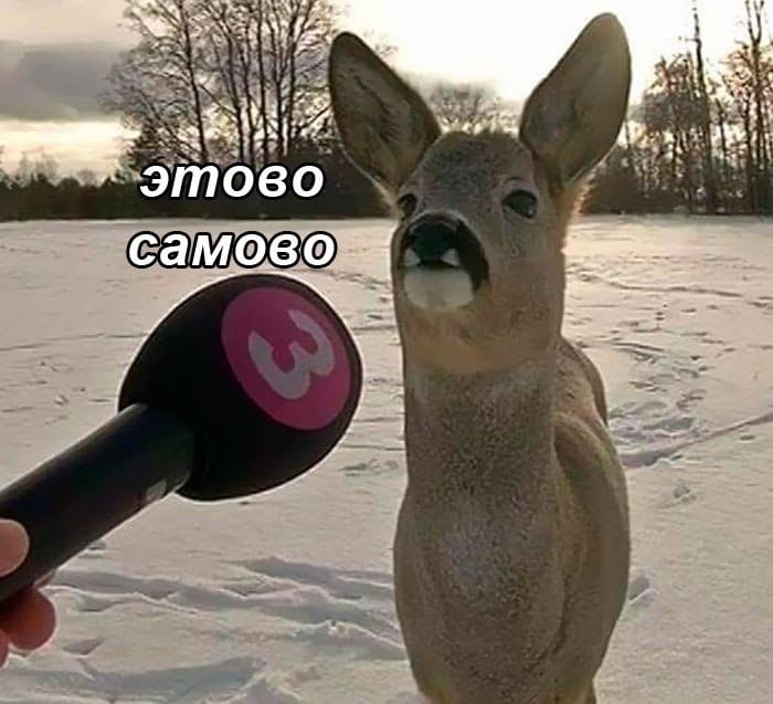 ,  , -  : - 4
