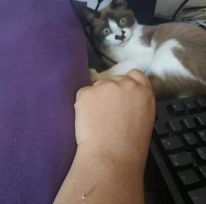      : - 2