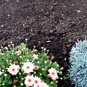 ���� �����, ���-����� - ��������� 22 �������� 2020 � ������ ���� � ���� ������...�