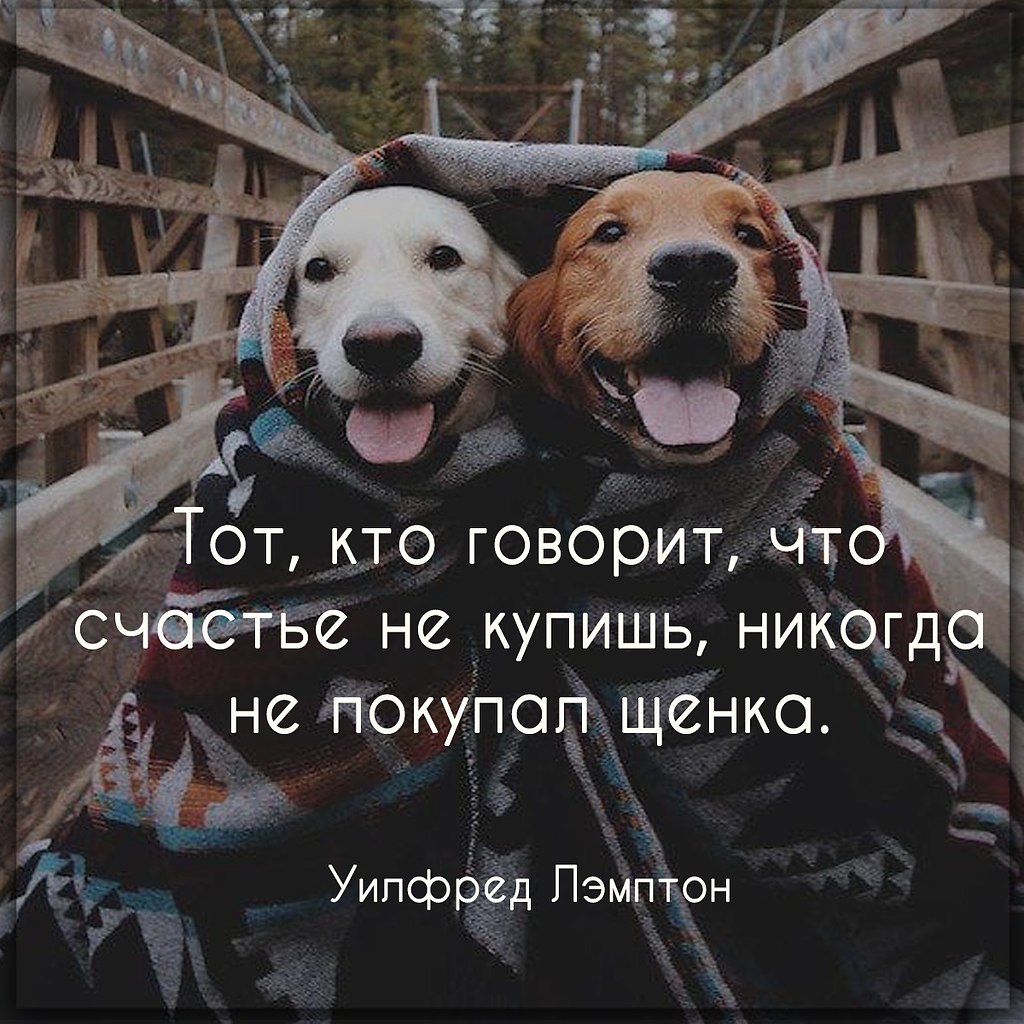    ,    .      ,    ...