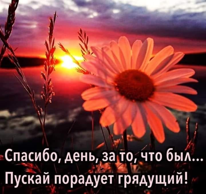   ,    . - 29  2020  17:01