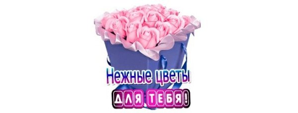  - 13  2020  20:01
