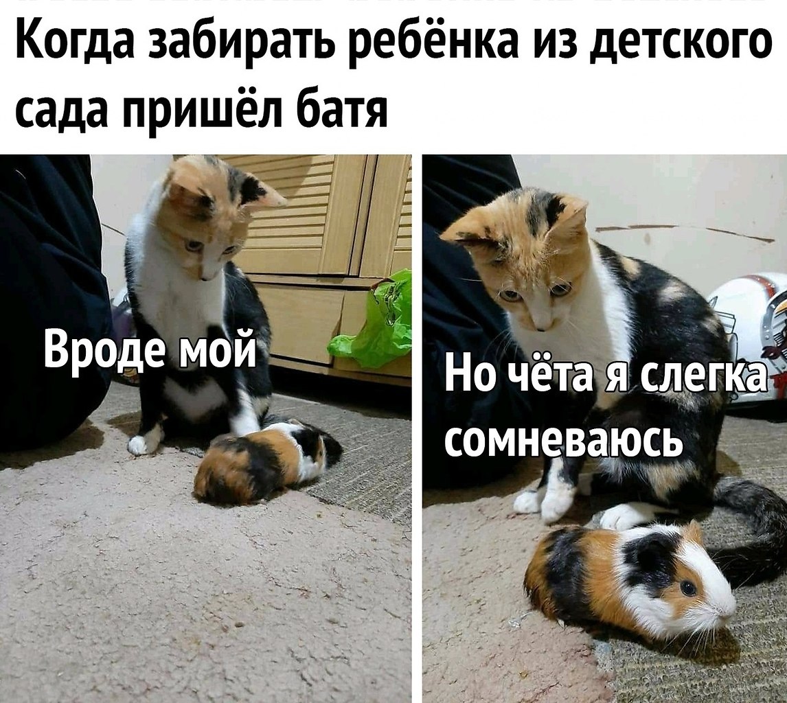  -   - 23  2020  19:01
