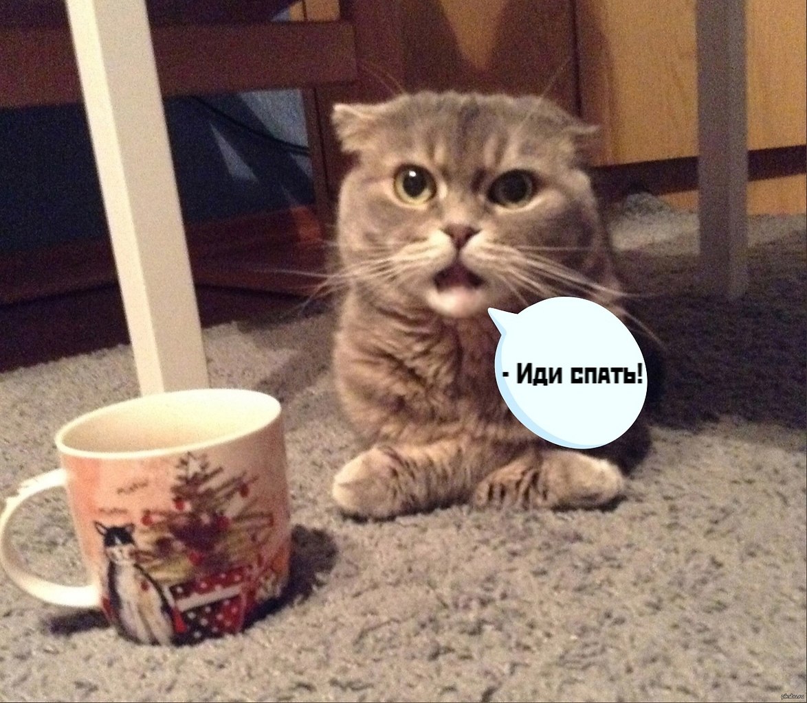       - 1  2021  21:36 - 3