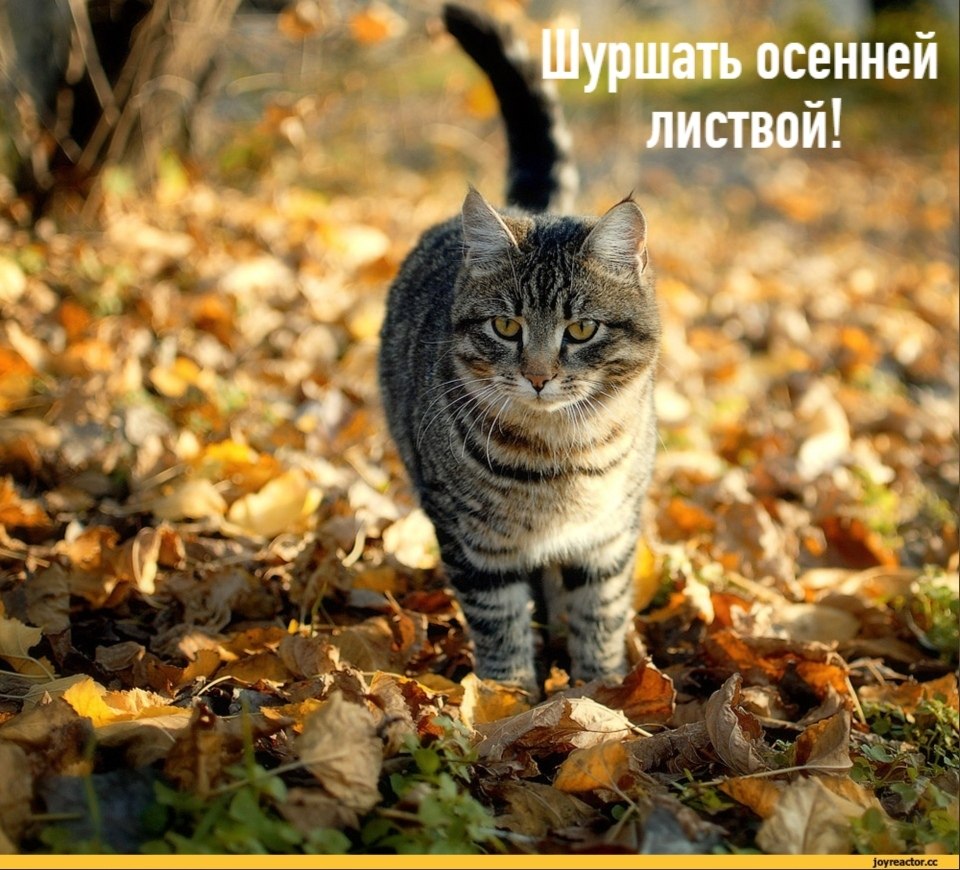  !)) - 6
