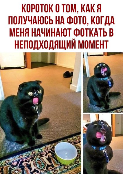  - 9  2020  18:41