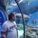 ���� ����, �����, 42 ���� - ��������� 20 ������ 2020 � ������ ���� ����������