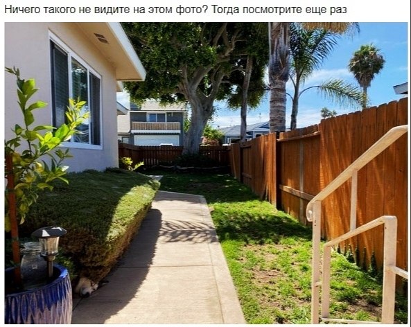 , oo       - 4